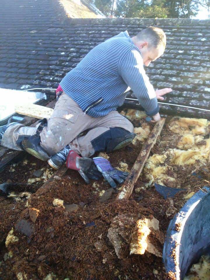 Another angle of the old roof material being removed - Mold job