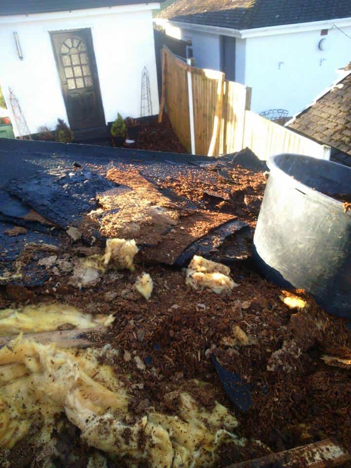 Removing the old roof material - flat roof Mold Flintshire